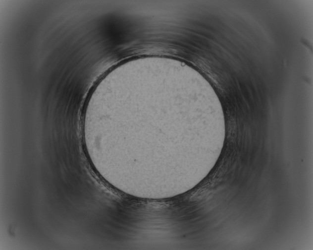 X0000093110848200710171221