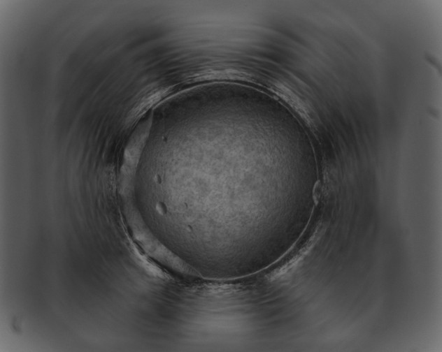 X0000093110849200710171221