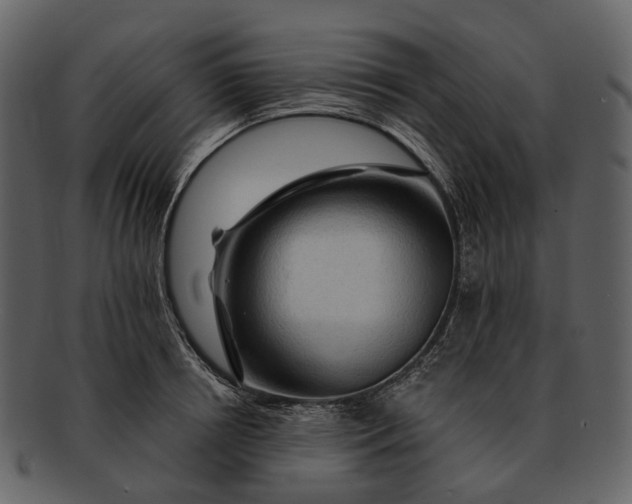 X0000093110850200710171221