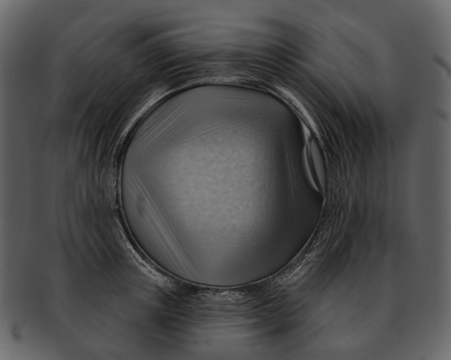 X0000093110851200710171221