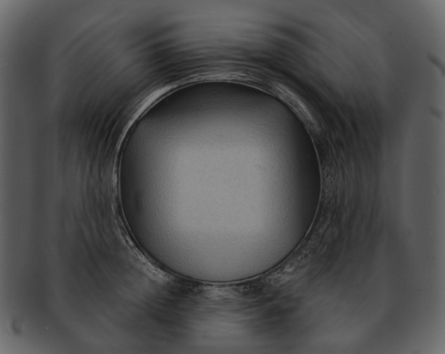 X0000093110852200710171221