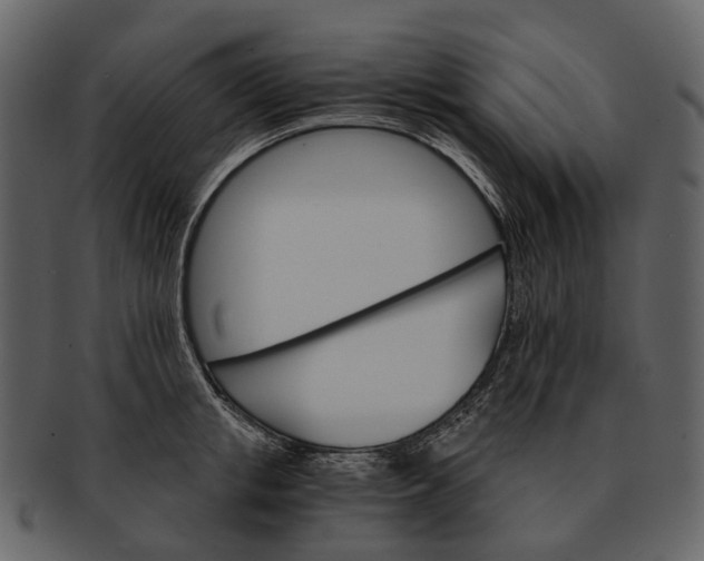 X0000093110853200710171221