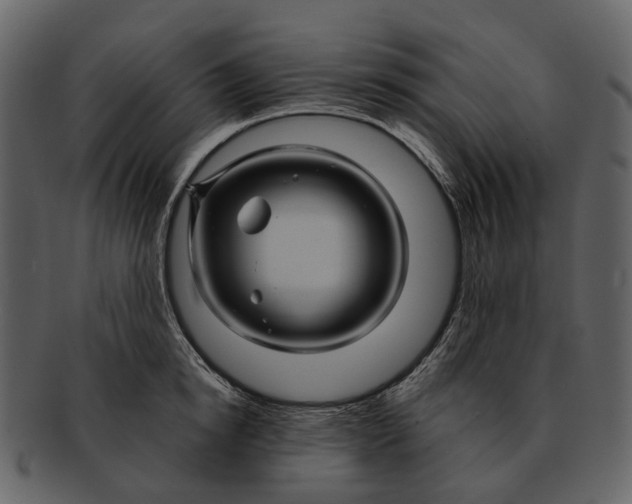 X0000093110854200710171221