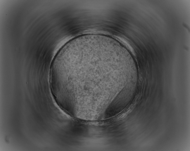 X0000093110855200710171221