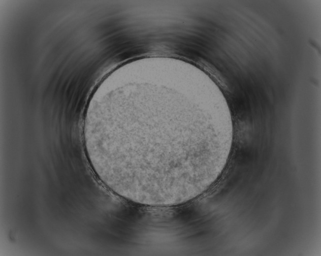 X0000093110856200710171221