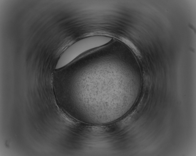 X0000093110857200710171221