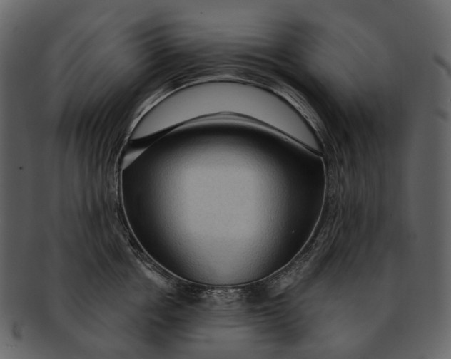 X0000093110858200710171221