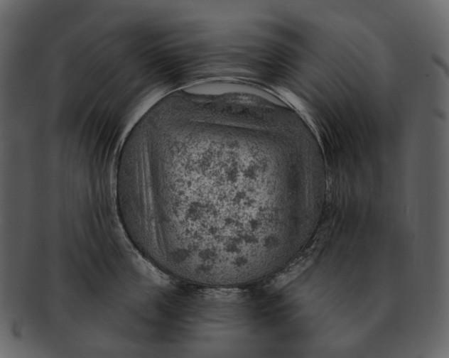 X0000093110859200710171221