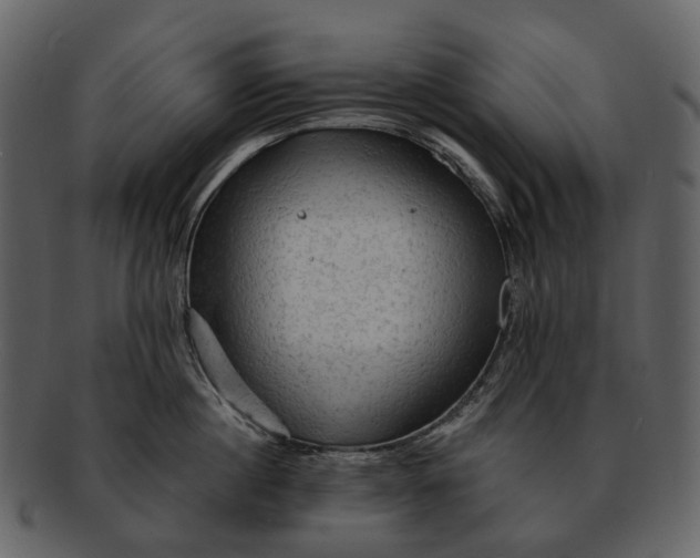 X0000093110860200710171221