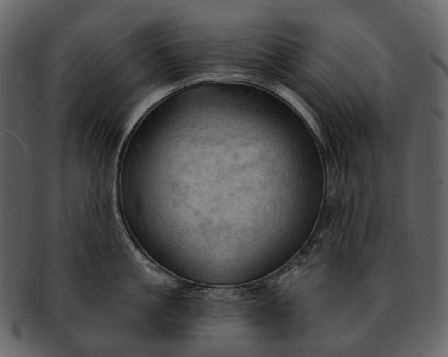 X0000093110861200710171221