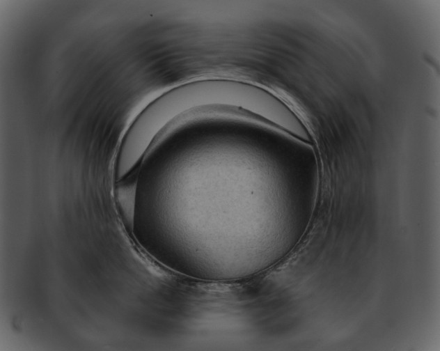 X0000093110862200710171221