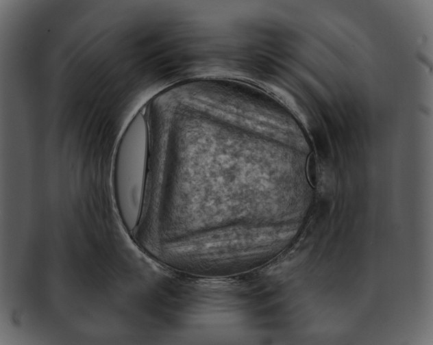 X0000093110863200710171221