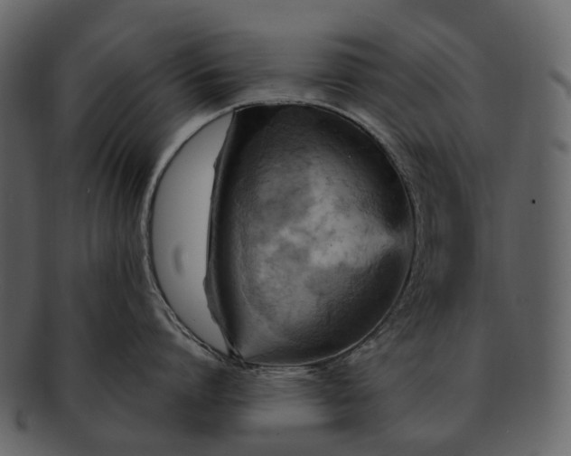 X0000093110864200710171221