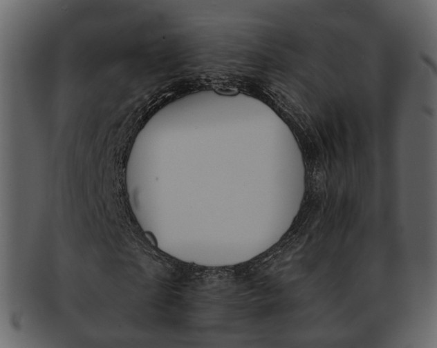 X0000093110865200710171220