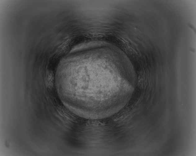 X0000093110866200710171220