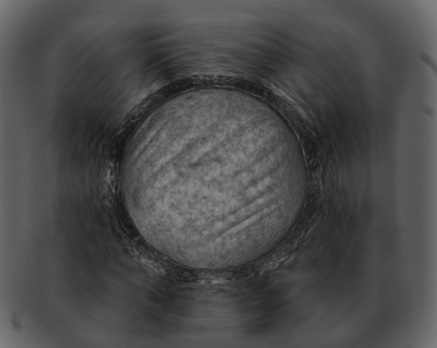 X0000093110870200710171220