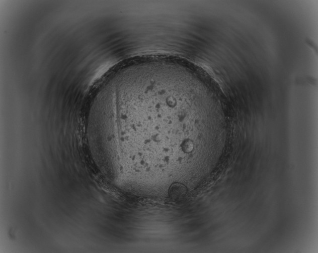 X0000093110871200710171220