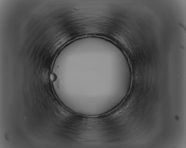 X0000093110873200710171220