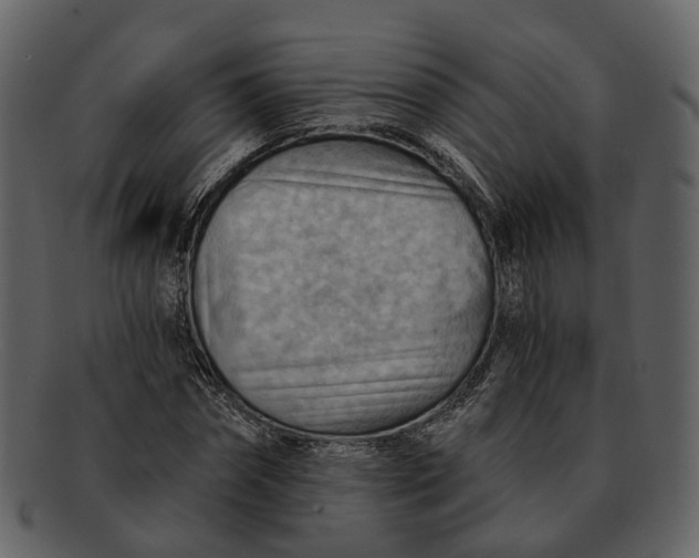 X0000093110874200710171220