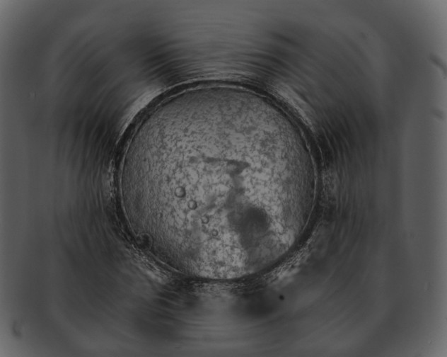 X0000093110875200710171220