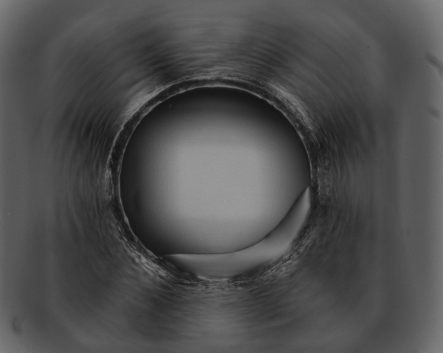 X0000093110876200710171220