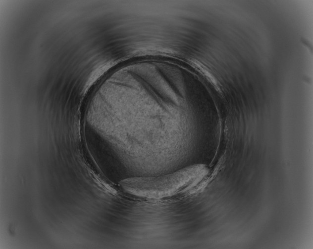 X0000093110877200710171220