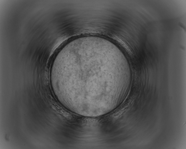 X0000093110878200710171220