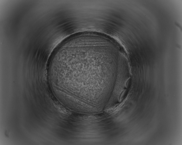 X0000093110879200710171220