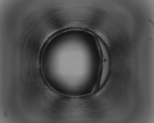 X0000093110880200710171220