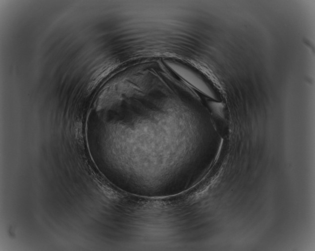 X0000093110881200710171220