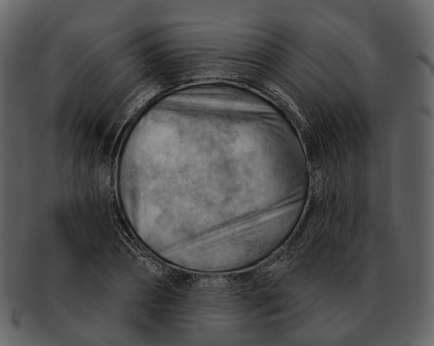 X0000093110882200710171220