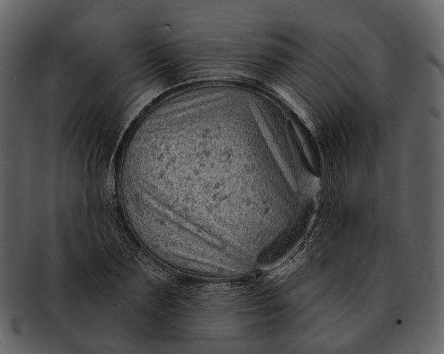 X0000093110883200710171220