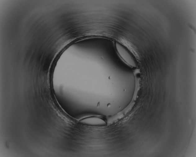 X0000093110884200710171220