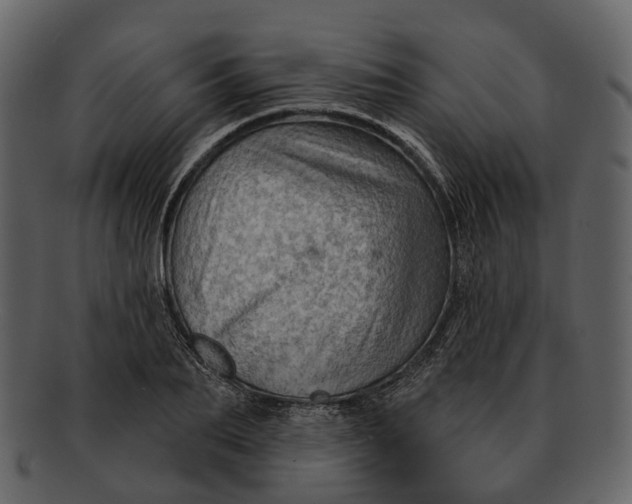 X0000093110887200710171220