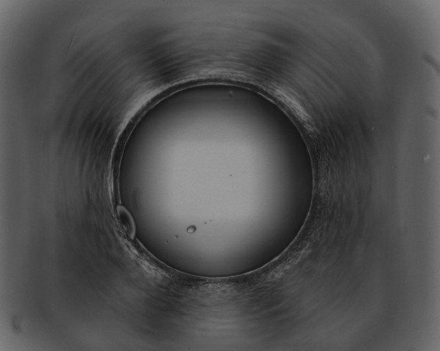 X0000093110888200710171220