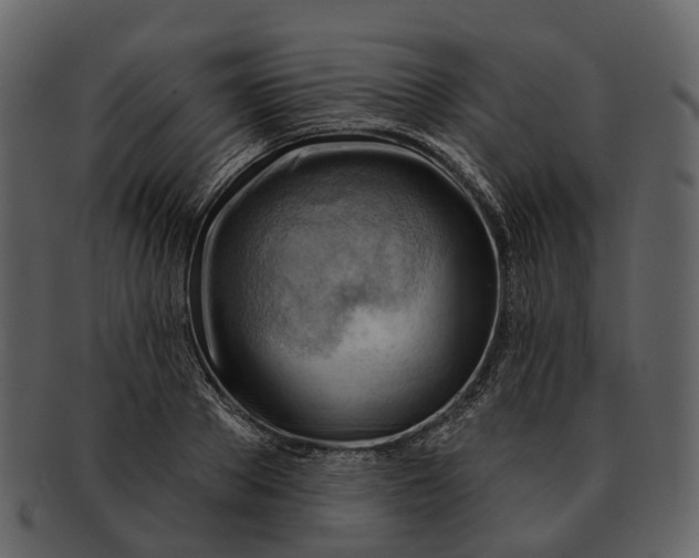 X0000093110889200710171220