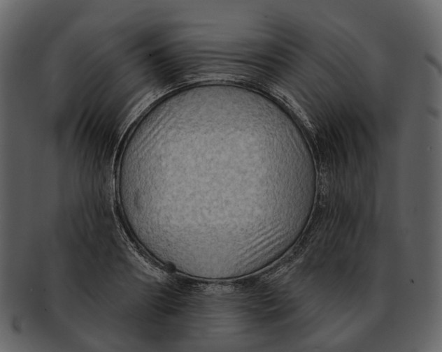 X0000093110890200710171220