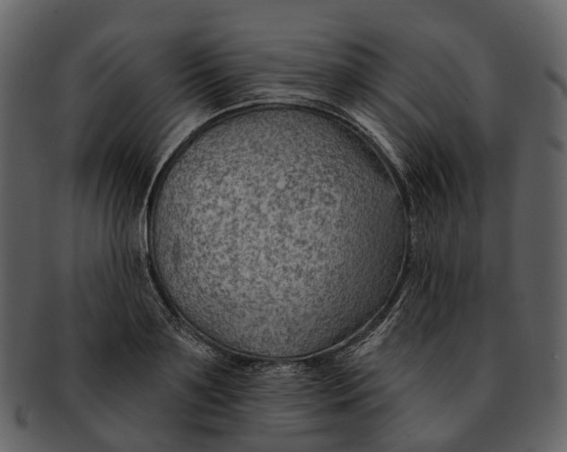 X0000093110891200710171220