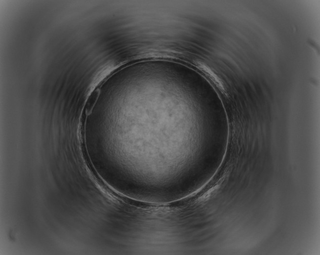 X0000093110893200710171220