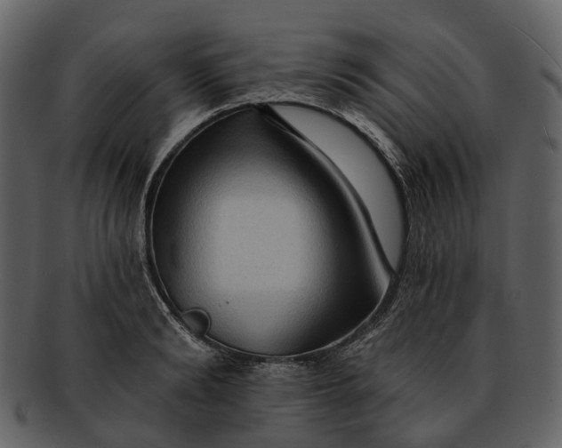 X0000093110894200710171220