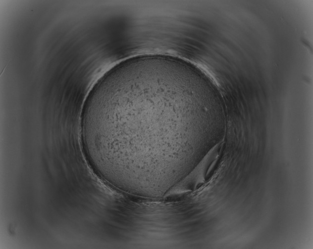 X0000093110895200710171220