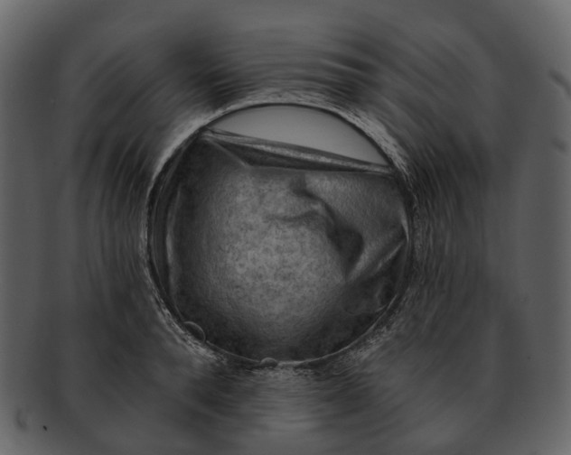 X0000093110896200710171220