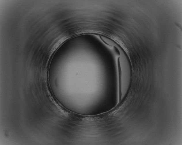 X0000093110898200710171220