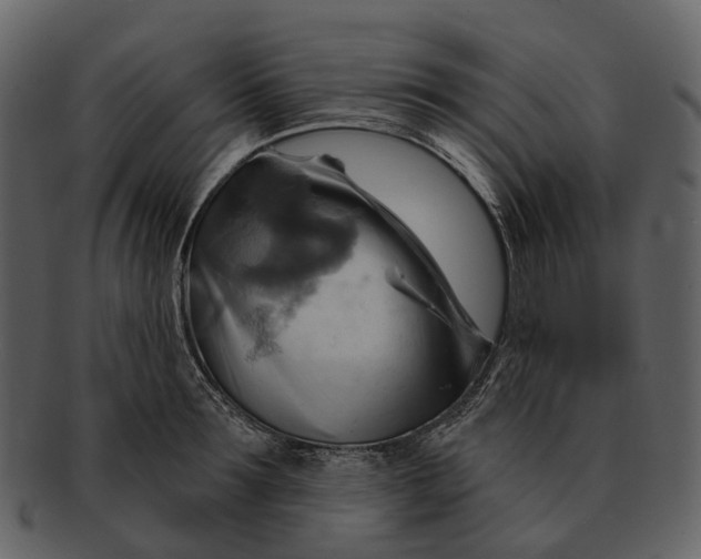 X0000093110899200710171220