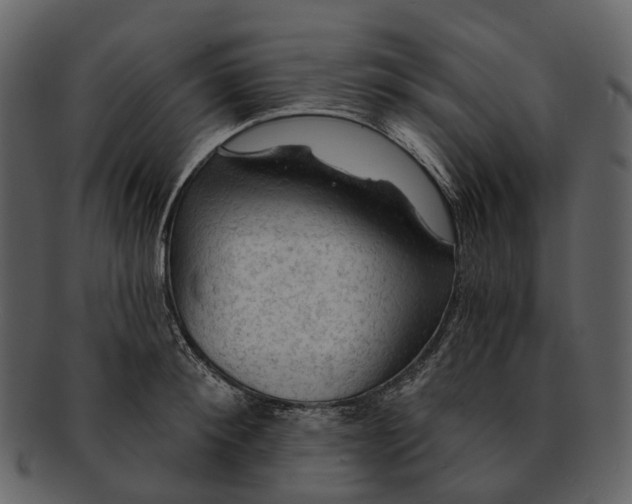 X0000093110900200710171220