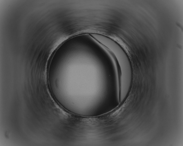 X0000093110902200710171220