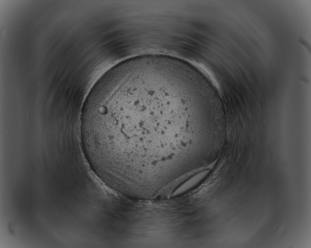 X0000093110903200710171220