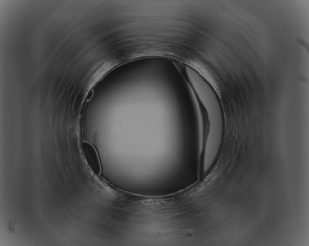 X0000093110906200710171220