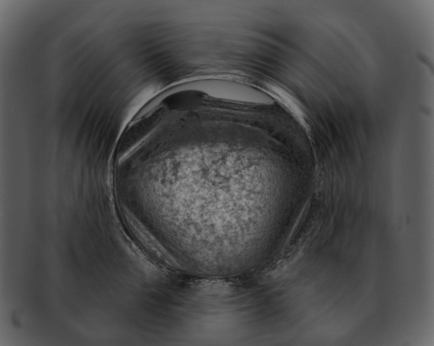 X0000093110907200710171220