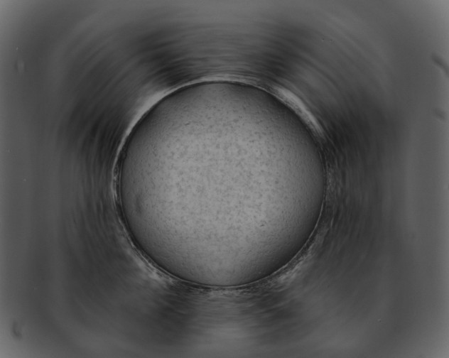 X0000093110908200710171220